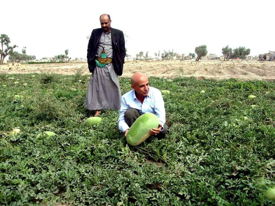  AGRICULTURAL SERVICES  